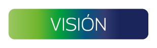 Visión